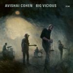 Avishai Cohen & Big Vicious - Hidden Chamber