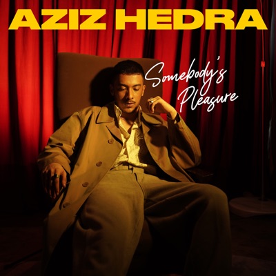Descargar Somebody's Pleasure - Aziz Hedra gratis en MP3
