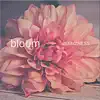 Stream & download Bloom