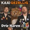 Drie Haren (feat. Ferry van de Zaande & Fred van Boesschoten) artwork