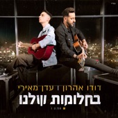 בחלומות שלנו artwork