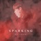 Sparking - DJ Frog lyrics
