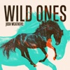 Wild Ones - Single