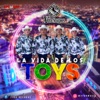 La Vida De Los Toys by Los Arrendados iTunes Track 1