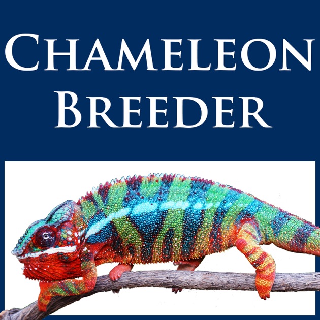 Chameleon Breeder Podcast with Bill Strand by Bill Strand on Apple Podcasts