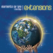 Elements of Life Extensions artwork