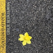 Golden Daffodil artwork