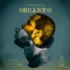 Stream & download Orgánico - Single