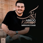 Abroo Kamoon artwork