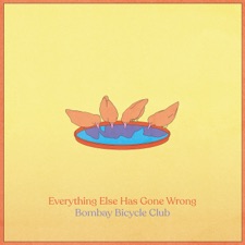 Everything Else Has Gone Wrong artwork