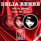 You're Gonna Want Me Back (Moplen Disco Mix) artwork
