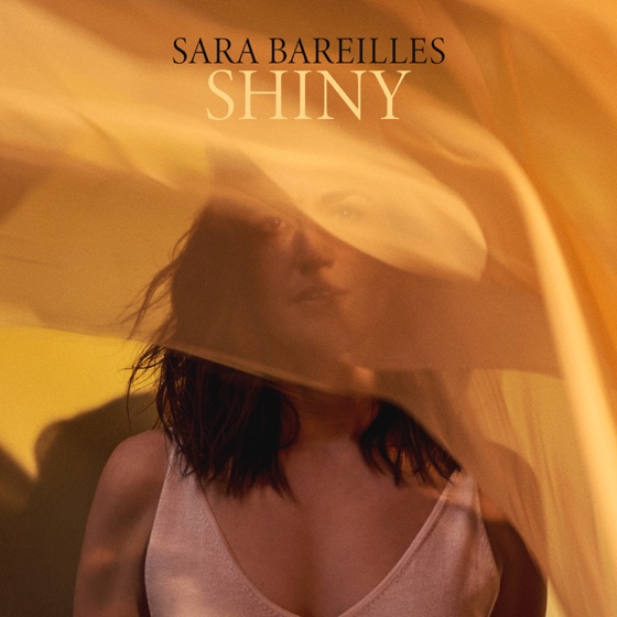 Cover artwork for Shiny