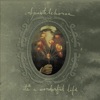 It's A Wonderful Life by Sparklehorse
