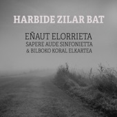 Harbide zilar bat (feat. Sapere aude sinfonietta) artwork