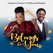 Belongs to You (feat. Mkhululi Bhebhe) artwork