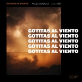 Gotitas al viento (feat. Feid) artwork