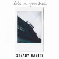 Steady Habits - Borrowed Time artwork