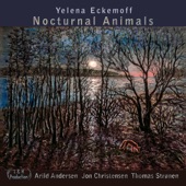 Nocturnal Animals (feat. Arild Andersen & Thomas Strønen) artwork