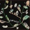 Count My Sheep - Kazumasa Hashimoto lyrics