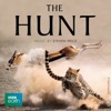 The Hunt, 2015