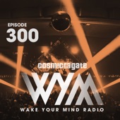 Wake Your Mind Radio 300 artwork