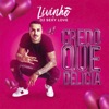 Credo Que Delicia - Single