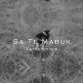 Sa Te Mabuk (feat. Kanzer PMC, Astoozgila & Emanem) artwork