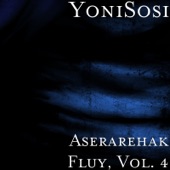 Aserarehak Fluy, Vol. 4 artwork