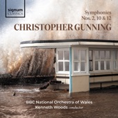 Christopher Gunning: Symphonies 10, 2 and 12 artwork