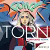 Torn (Adryiano Remix) - Single album lyrics, reviews, download