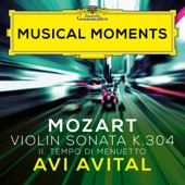 Violin Sonata No. 21 in E Minor, K. 304: II. Tempo di Menuetto (Transcr. Avital for Mandolin and Piano) artwork