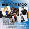 The Best of New Flamenco, Vol. I