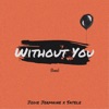 Without You (Satele Remix) - Single