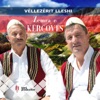 Vëllezërit Lleshi - Shqipja e pergjakun