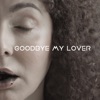 Goodbye My Lover - Single
