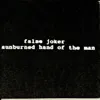 False Joker album lyrics, reviews, download