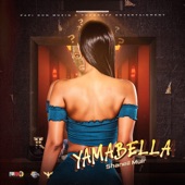 Yamabella artwork