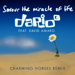 Savour the Miracle of Life (feat. David Amaro) [Charming Horses Remix] - Single - Dario G