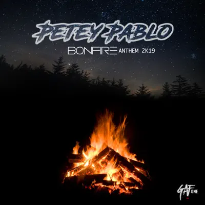 Bonfire Anthem 2k19 - Single - Petey Pablo