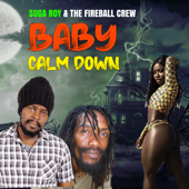 Baby Calm Down - Suga Roy & the Fireball Crew