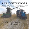 Saskatchewan artwork