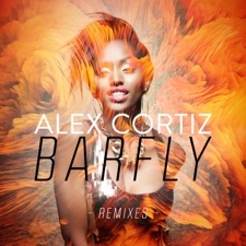 Barfly (Slo-Fi Mix) artwork