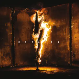 last ned album Cocaína - Nadie incendia el mundo
