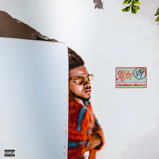Cover artwork for Shallow Dimes