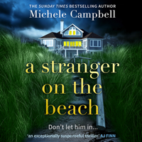 Michele Campbell - A Stranger on the Beach artwork