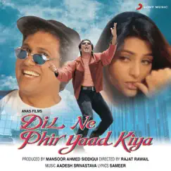 Dil Ne Phir Yaad Kiya (Original Motion Picture Soundtrack) by Aadesh Shrivastava album reviews, ratings, credits