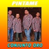 Pintame - Single