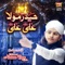 Haider Maula Ali Ali - Muhammad Hassan Raza Qadri lyrics