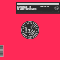 David Guetta & Martin Solveig - Thing For You artwork