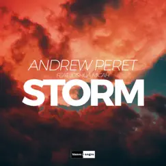 Storm (feat. Joshua Micah) - Single by Andrew Peret album reviews, ratings, credits
